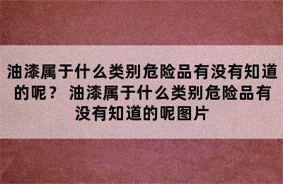 油漆属于什么类别危险品有没有知道的呢？ 油漆属于什么类别危险品有没有知道的呢图片